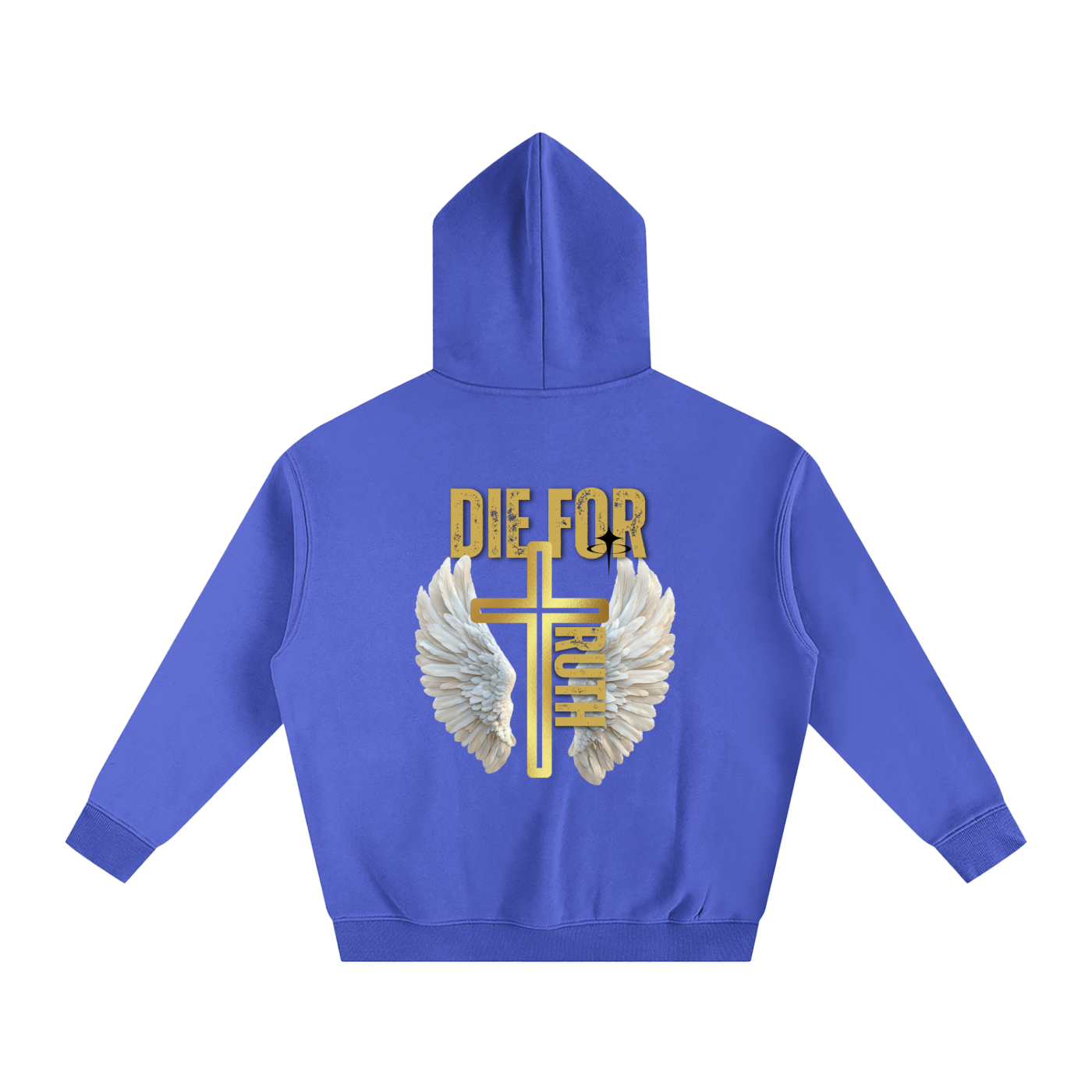 Die For Truth Oversize Fleeced Hoodie